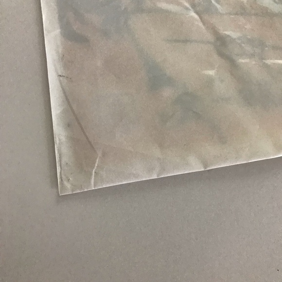 Japanese Ichigo Ichie Kawaii Carrier Plastic Bag - Picture 4 of 5